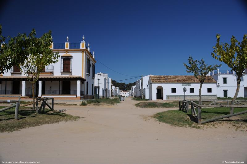 Sandy road of El Rocío photo