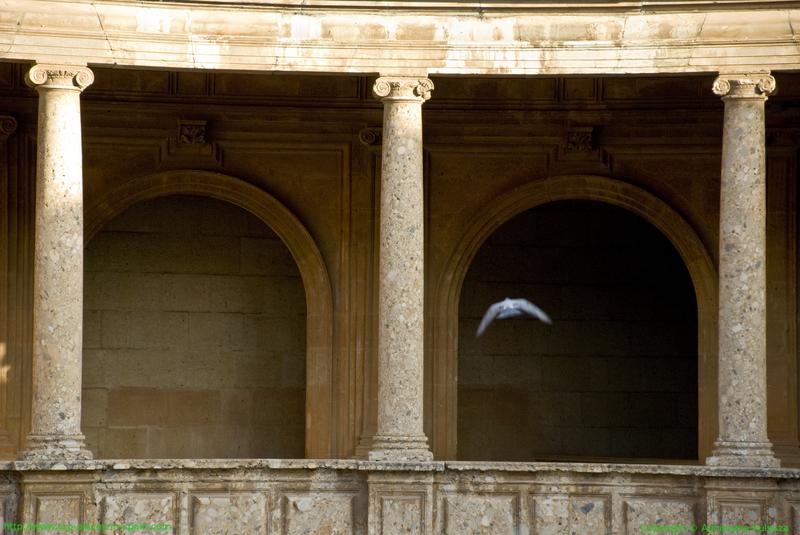 Granada - columns in the Palace of Charles V photo